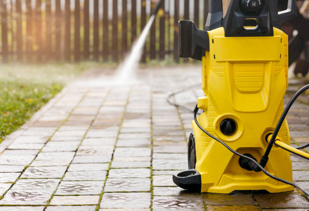 Animal Enclosure Cleaning in Marion, MS